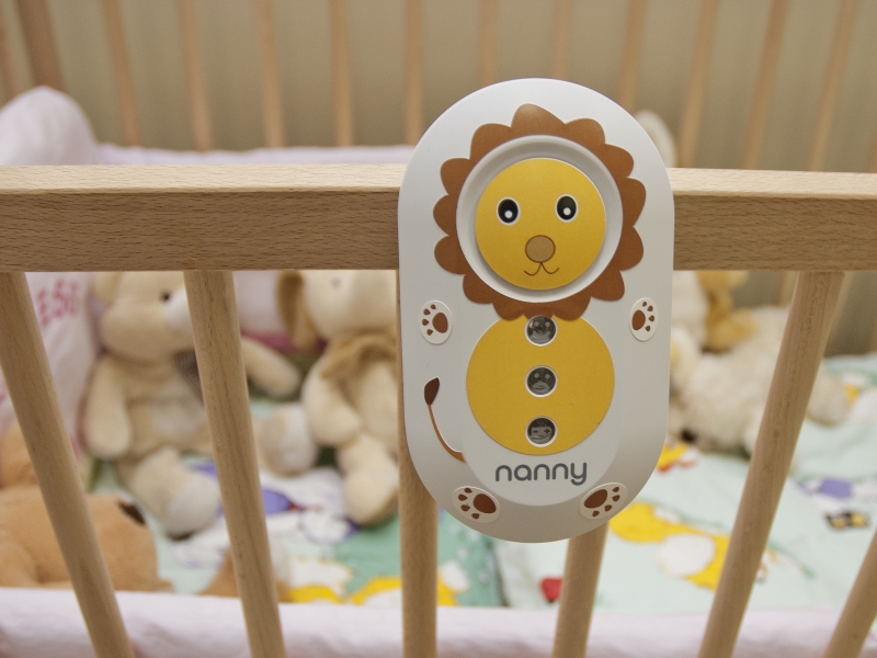 Jak poprawnie zadbać o Nanny